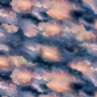 ttDONA-CD4186 NIGHT